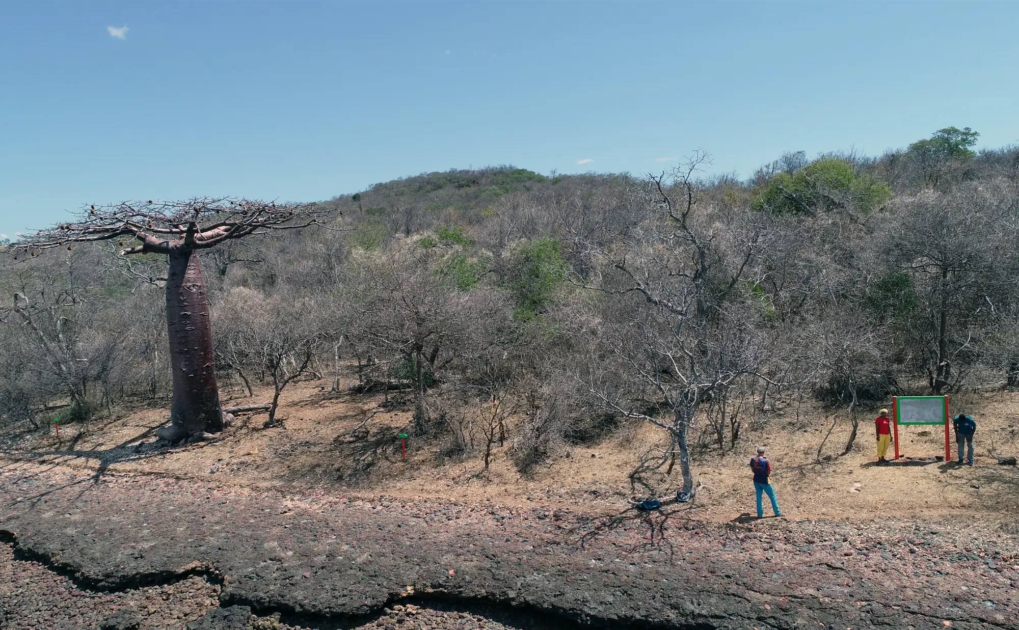 Parcours entre mangrove et baobabs face à l’archipel de Nosy Hara