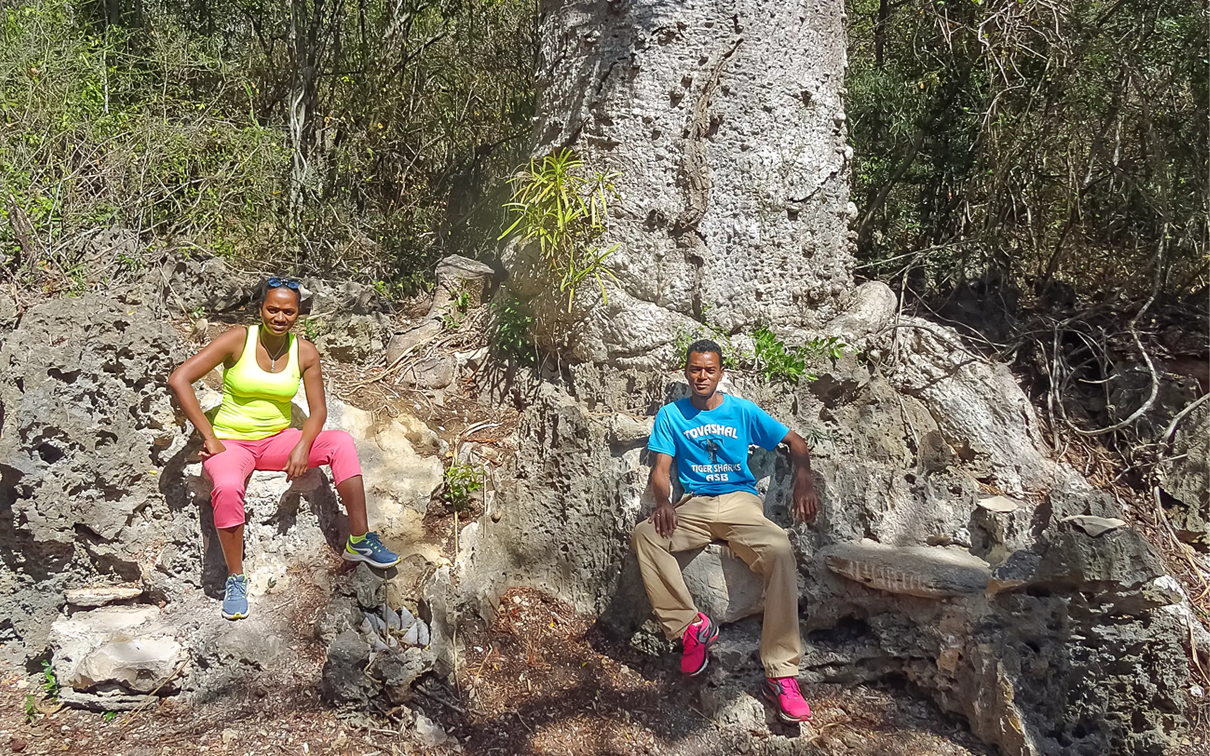 Sentier des Deux Baobabs — vue 1