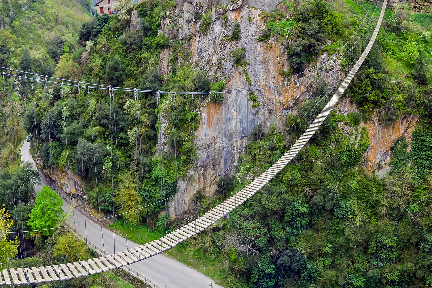 Passerelle intégrée dans un environnement naturel