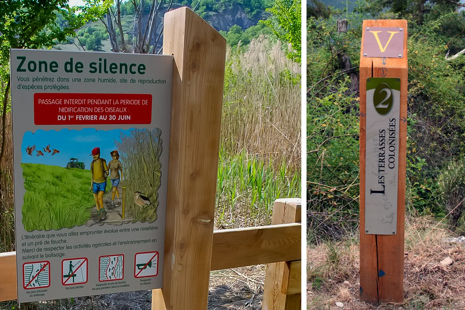 Signal&eacute;tique en bois naturel conservant des formes irr&eacute;guli&egrave;res
